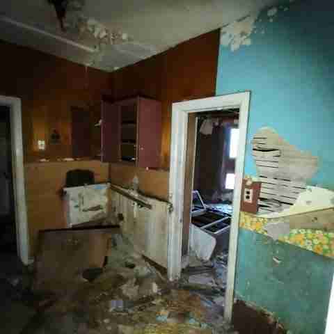 8031 conger (85).jpg